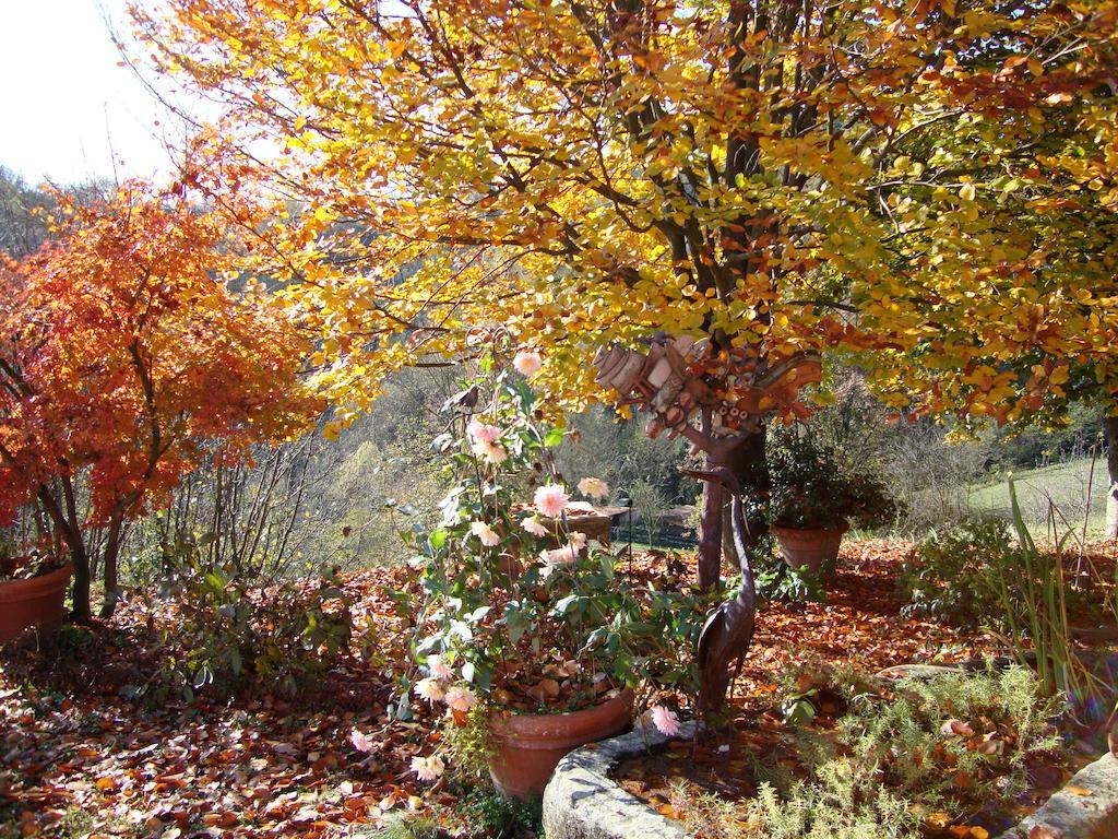 Bed and Breakfast Cascina Nel Bosco à Moncucco Torinese Extérieur photo